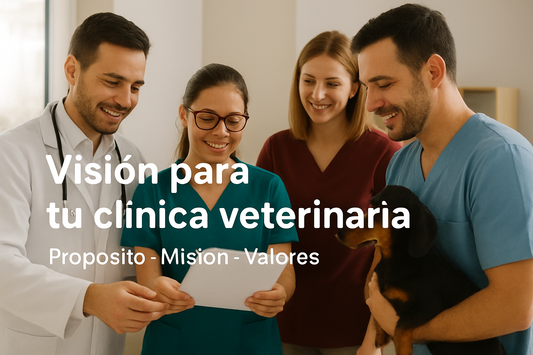 Por qué tu clínica necesita una visión clara